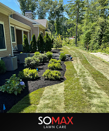 framingham lawn care specialist rated