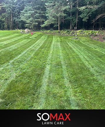 lawn