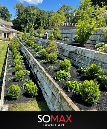 somax boston lawncare lawn care mow grass garden