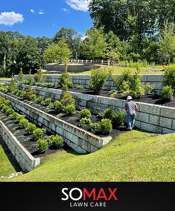 somax lawn care boston rated