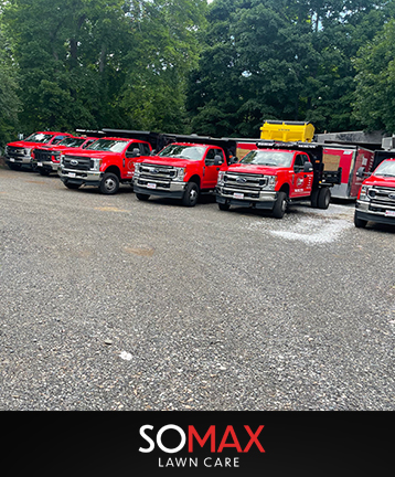 somax lawn care somar lawn care landscape boston