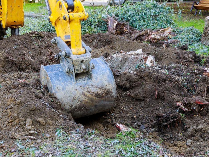 Yard work bulldozer clearing land from old trees, roots and branches with backhoe machinery.